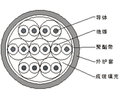 铜芯PE/XLPE/PVC绝缘PVC护套电子计算机电缆