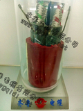 齐鲁电缆0.jpg