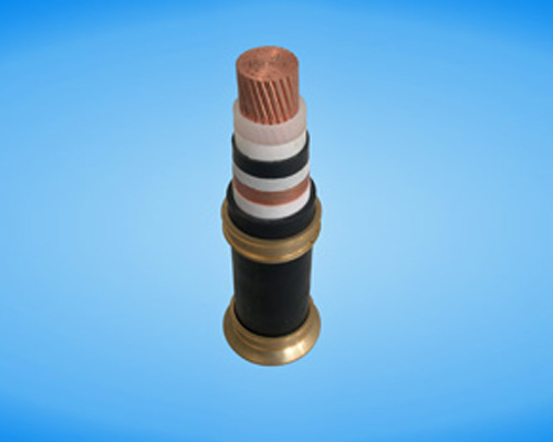 20200312
